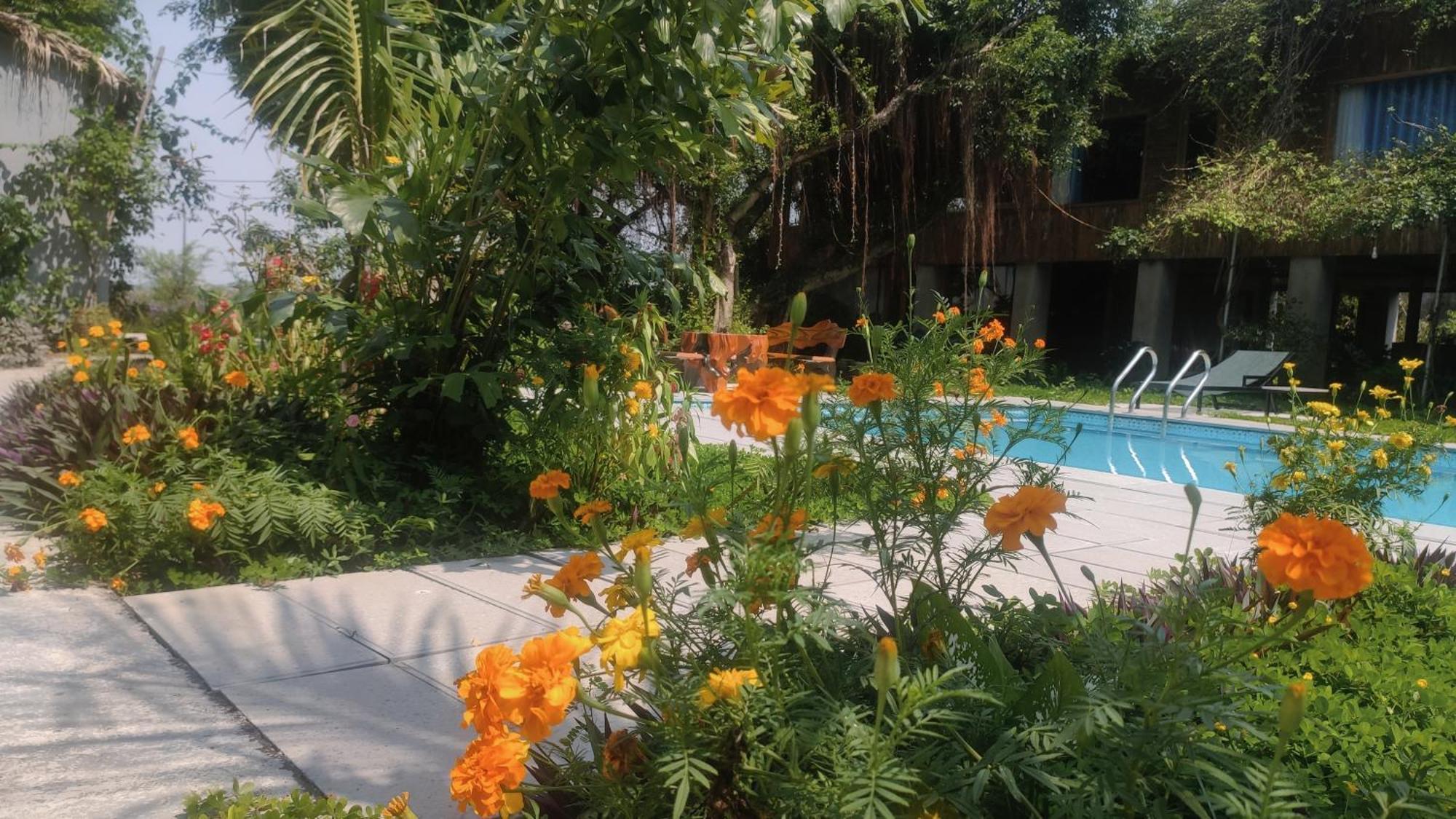Tuyet'S Homestay Ninh Binh Exterior foto