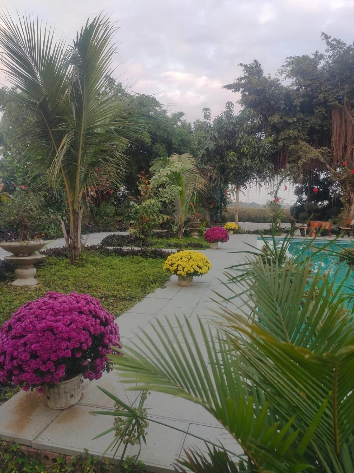 Tuyet'S Homestay Ninh Binh Habitación foto